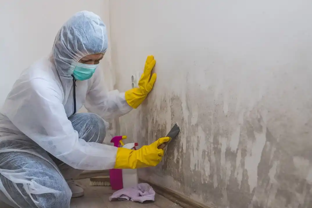 water damage restoration service Briarcliff West